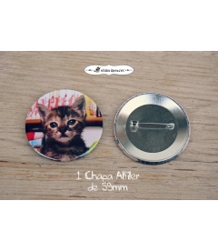 "MASCOTA BOX" CHAPAS PARA MASCOTAS