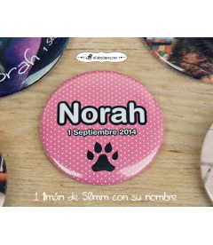 "MASCOTA BOX" CHAPAS PARA MASCOTAS