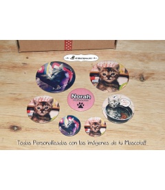 "MASCOTA BOX" CHAPAS PARA MASCOTAS