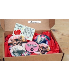 "MASCOTA BOX" CHAPAS PARA MASCOTAS