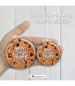 CHAPA "GALLETA"