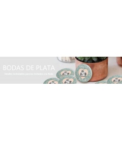 BODAS DE PLATA