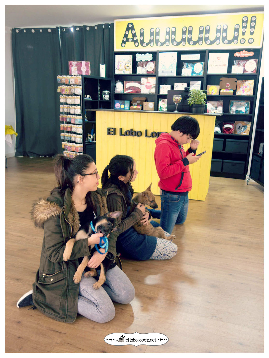 taller solidario para dog planet en el lobo lopez la primera tienda fisica de españa dedicada exclusivamente a las chapas